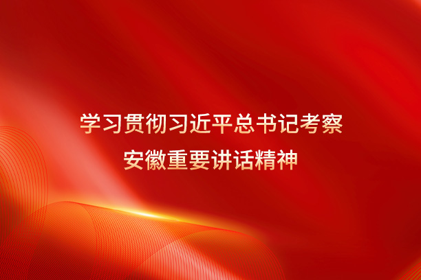 学习贯彻习近平总书记考察安徽重要讲话精神